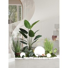 ����Gֲ�쾰�k���Ҹ��������b��^�����¹ս��҃ȴ��;Gֲ�٘�