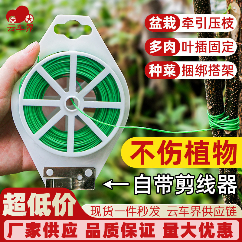多用途园艺捆扎线盆栽带铁丝月季爬藤植物葡萄固定绳绑花神器批发
