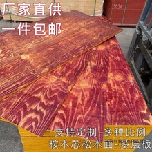 木板片建筑模板10mm胶合板隔板批发庭院阳台制模桉木外贸跨境工厂