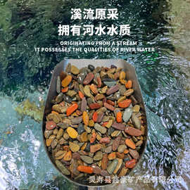原生溪流石鱼缸造景底沙天然沙河沙化妆缸底砂造景装饰石厂家批发