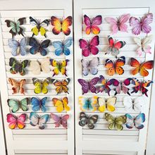 ������� С���鱬��3d��ӡ����װ��ǽ��ɴ���з��� ����DIY���