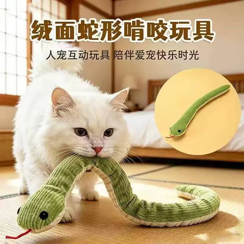 고양이 뱀