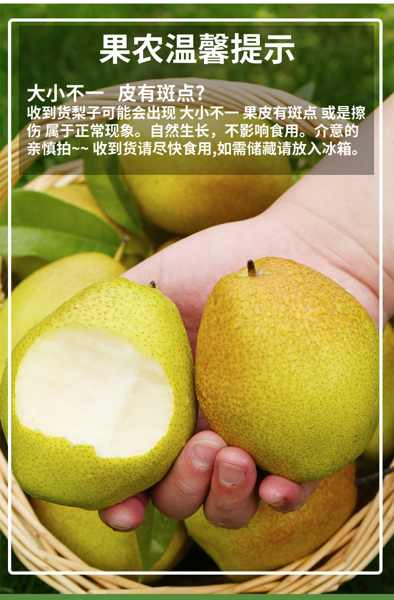 çº¢é&b