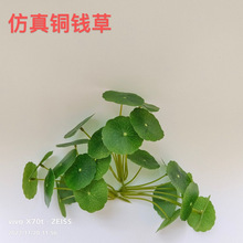 [PbP滨9Ƭ~~Xݺ~ֲҾbСԲ廨