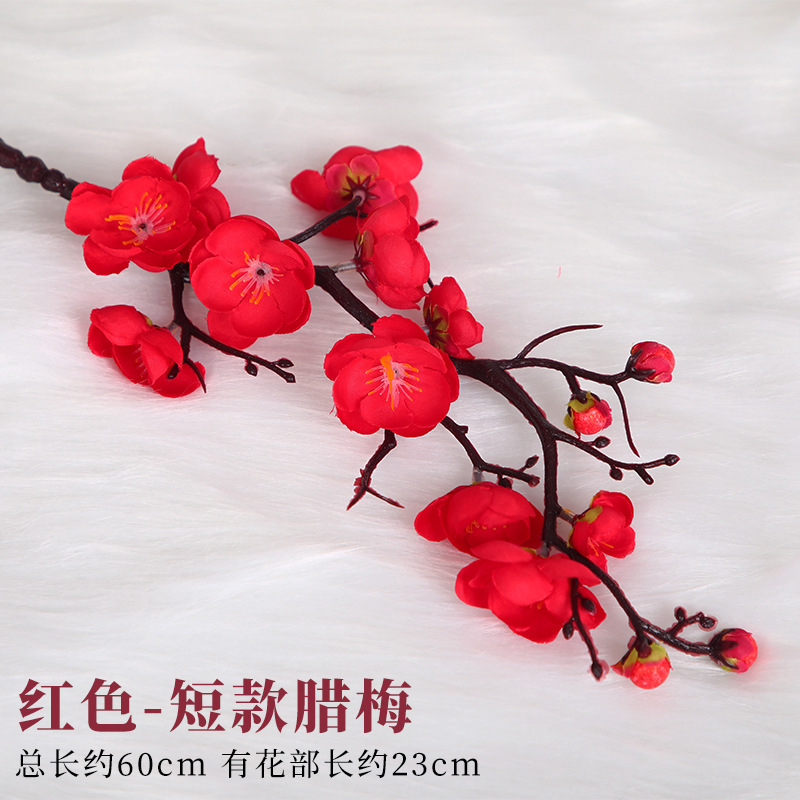 짧은 붉은 윈터스윗