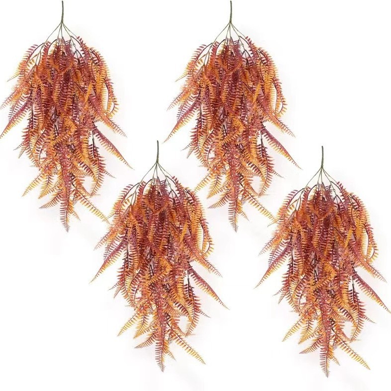 머리 5개, 눈 69개 작은 페르시아-추홍