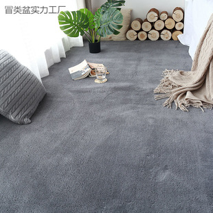Thick Carpet for Girls' Bedroom Bedside, Children's Room, Living Room Coffee Table, Balcony Bay Window, Entrance Floor Mat