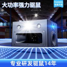 �F؛�����}�����������������������������ȸɔ_�����