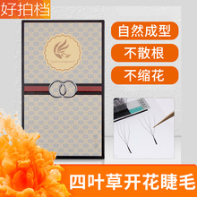 四叶草睫毛一秒美睫嫁接眼睫毛种植假睫毛自然仿真美睫店开花专用