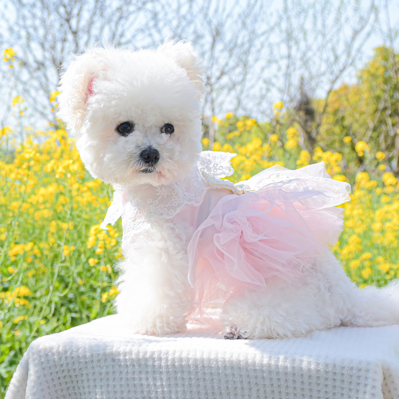 Dog Clothes Bichon Teddy Pomeranian Pet Dress Summer Breathable Cat Princess Summer Maltese Skirt