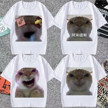 大头表情包短袖可爱歪嘴猫咪t恤搞笑小猫图案阿米诺斯沙雕上衣夏t