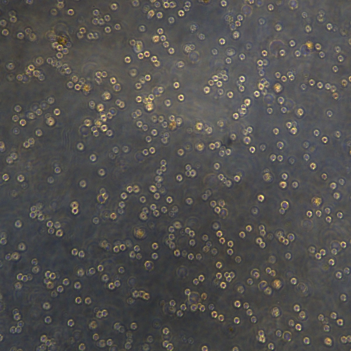 2025-11-05 15:37:59.jpg