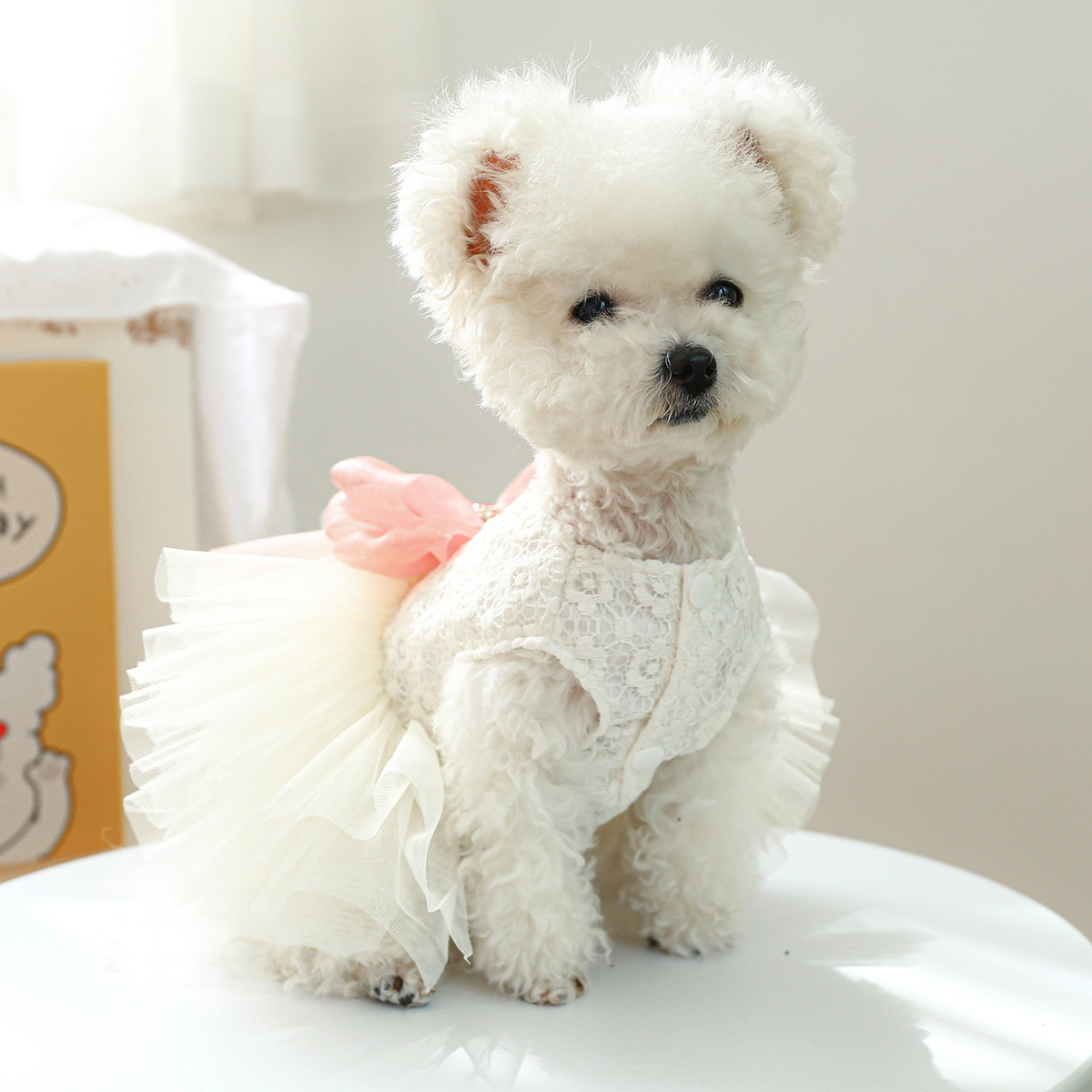 100g Weight Pet Clothing Type Of Pet Supplies 1 Piece Quantity Casual, Daily Occasion Polyester Material Bow Knot Pattern Summer Season Sweet Style Sweet Polyester Bow Knot Pet Clothing 10