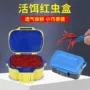 透气两用手提加厚蚯蚓盒