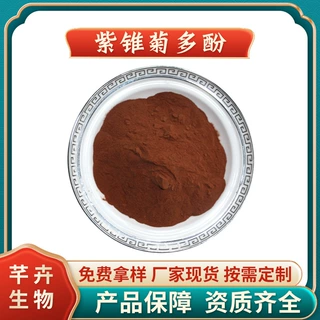 紫锥菊多酚4% 水溶 紫锥菊提取物 菊苣酸 1KG起 厂家包邮