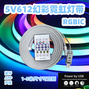 5V612�ò��޺����ԟ�RGBIC���R��ˮ24�I�{����LED���b