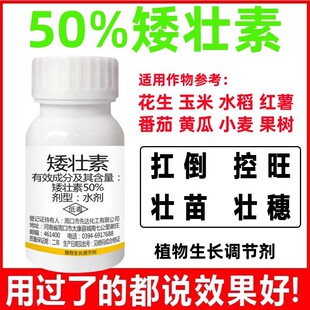 ֲ�ﰫ���ؿ�ͽ�L���׻����޻���߮a����ͽ�L�����������L�{����