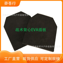 ç�n�Ѓ��ò��EVA���g���Č��÷��o֧�����ó��p��