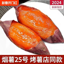 ɽ�|����25̖�t�������������r�����r���ԷNɳ�صع�9�����ͼt��