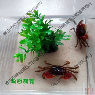 .����з����з�[��؛����з�^�pз��܊з��ˮ�з����ˮ������