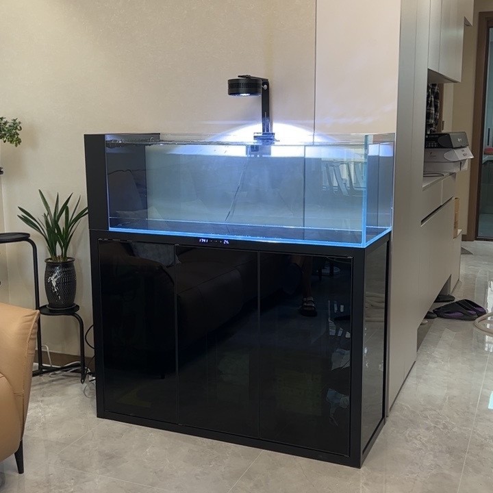 Jinjing ultra-white glass living room office ecological landscaping stream tank fish pond living pool aquarium fish tank goldfish tank