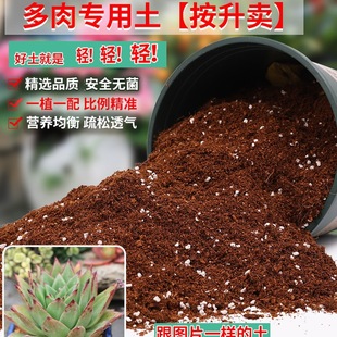 ������ֲ��I�B���w��������С���Ϙ��I�B���ЙCͨ�û���