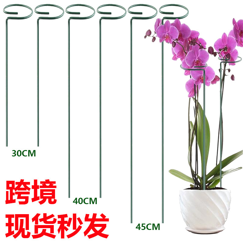 Cross-border gardening flower support fixed pole garden potted plant climbing vine support frame anti-lodging flower support pole