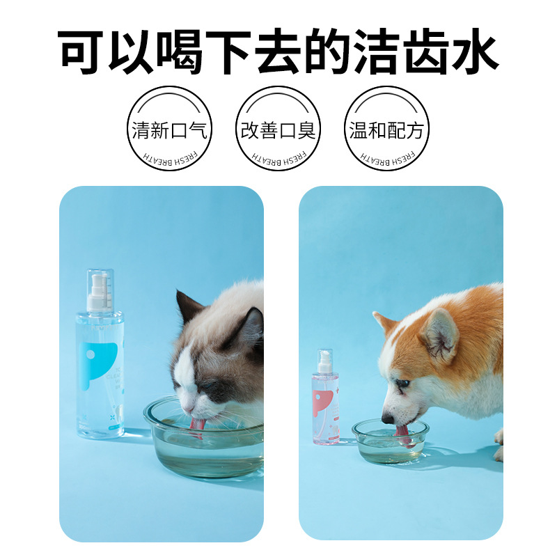Nuevo perro enjuague bucal eliminar el mal aliento mascota gato dental cálculo dental limpieza agua gato oral suministros de limpieza al por mayor