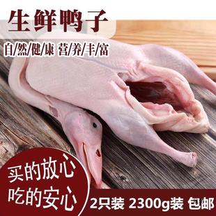 ���r��ֻ����2ֻ�b4.7����������؛���]�������ֻ�����Ӱחl��