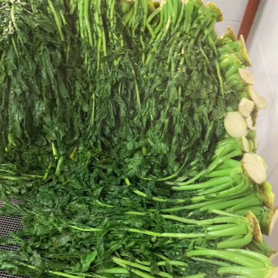 风干萝卜叶出口级萝卜叶韩餐用农家自晒白萝卜叶子脱水蔬菜萝卜叶