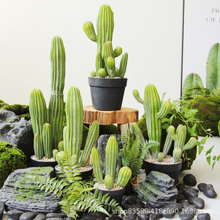 Simulation cactus potted fake cactus column bonsai tropical plant living room indoor desktop decoration green plant ornaments