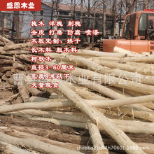 户外槐木原木去皮树干小直径刺槐立柱户外攀爬游乐槐木打磨原木风