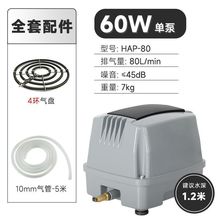 ����������Ñ����\���~�ش����o���u�~�����ú��r�����������C