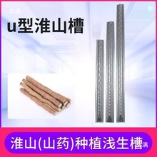 NֲɽUɽșģߏS۲ۏVۼҷNֲ\\ֱl