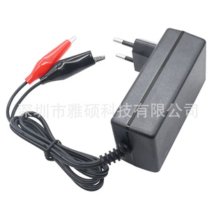 Lead-acid battery charger 6V 12V 1A 2A dual battery charger automatic identification