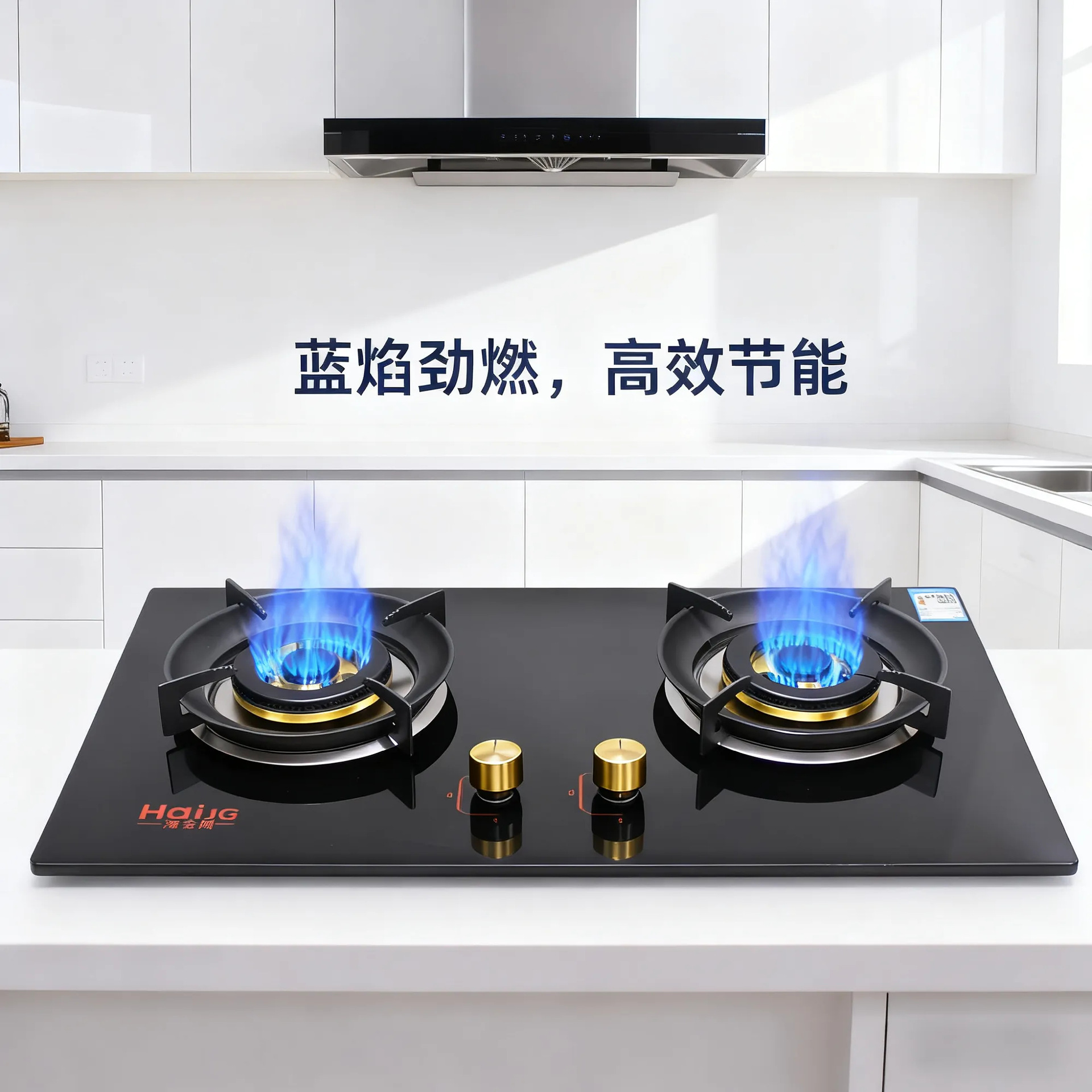 재고 내구성있는 LPG 주방 더블 스토브 내장 가스 더블 스토브 (Flameout Protection Stove)