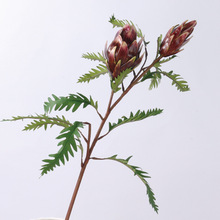 单支圆头水飞蓟仿真花帝王花高档人造花手感家具装饰绿植批发假花