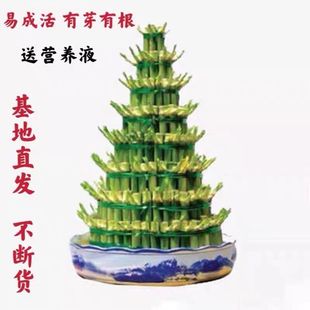 ���F������������ˮ�B��ؔ�D�\����������Ӱˌ��k���Һ��Bֲ��