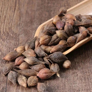 ���B�N�B�������N���N�B�����r�B�N��؛���l����