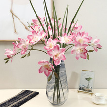 eָб֧3^ޥm滨҃b辰߼ٻSl