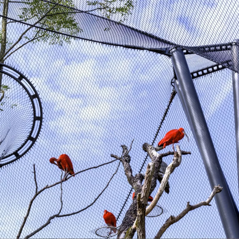 卡扣不锈钢绳网  动物园用网鸟语林网 柔性编织绳网 可定规格