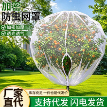 果树防虫网罩网袋樱桃蓝莓杨梅果园树罩拦鸟网抗老化防鸟专用网