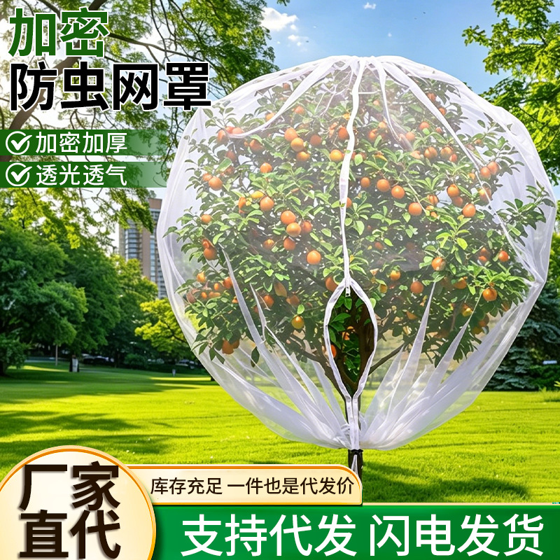 果树防虫网罩网袋樱桃蓝莓杨梅果园树罩拦鸟网抗老化防鸟专用网