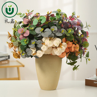 5���ȼ����~����Gֲ�Ҿӻ�ˇ�b�c�[�����þƵ��̈��Gֲ�쾰