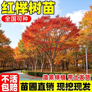 �t�Θ���Ѫ�eС��e��ͥԺ�е������ͺ����~�G���L����С�~�Θ���