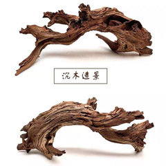 沈木はペットに登って木のたてがみの獅子を登ります。