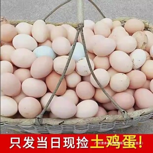 �����r�����u��ɢ�B�x�����àI�Bһ�Fُ40ö���u�����r