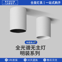 明装ダウンライトledアンチグレアスポットライト穴を開けないでほっぺを吸い込みます。