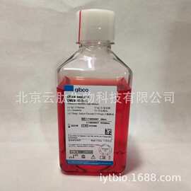 Invitrogen Gibco C11885500BT 国产DMEM低糖培养基，500ml/瓶