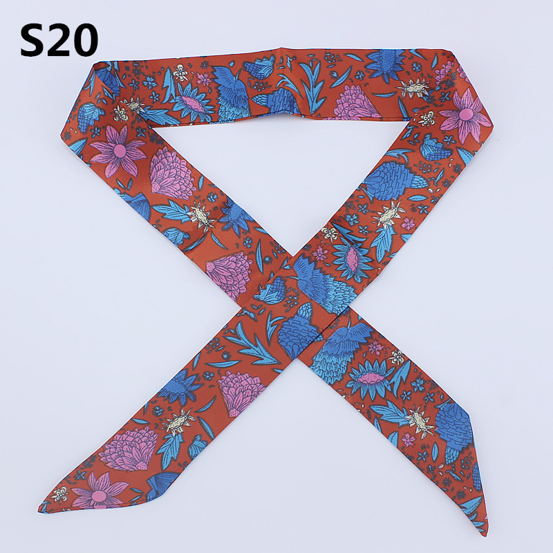 S20